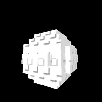 Spider Egg from Jungle